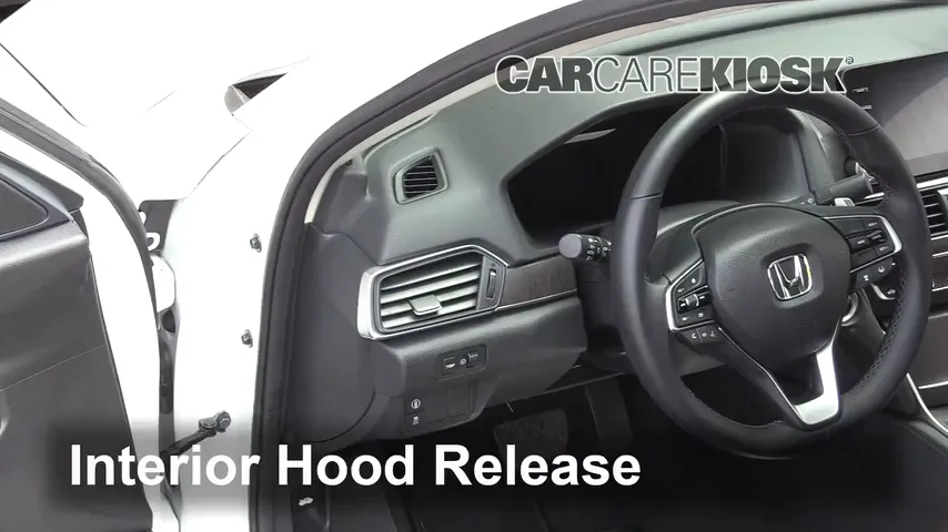 2019 Honda Accord Sport 2.0L 4 Cyl. Turbo Hood